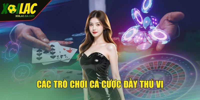 Live Casino XOILAC - Trải Nghiệm Đỉnh Cao Cùng Dealer 3 Các trò chơi cá cược đầy thú vị