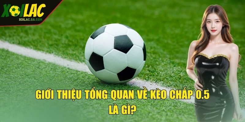 Kèo Chấp 0.5 Là Gì? Kinh Nghiệm Nhận Định Hiệu Quả 2 Giới thiệu tổng quan về kèo chấp 0.5 là gì?