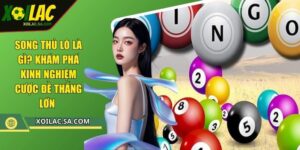 Song Thủ Lô Là Gì? Khám Phá Kinh Nghiệm Cược Đề Thắng Lớn